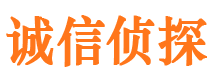 长丰侦探公司